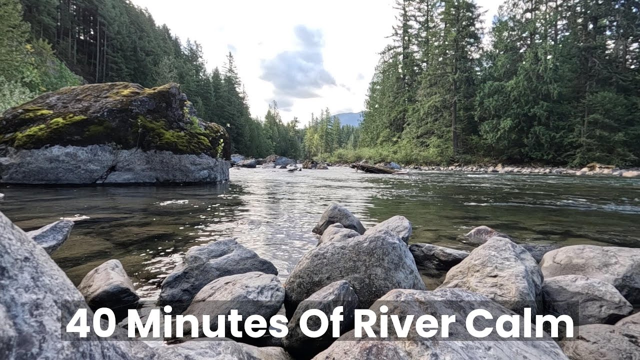 Relax by the River | 40 Minutes of Cascades Nature Calm