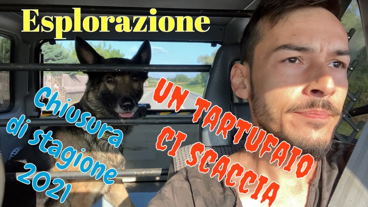 Chiusura della stagione estiva 2021. Un tartufaio ci scaccia. Esplorazione!!!