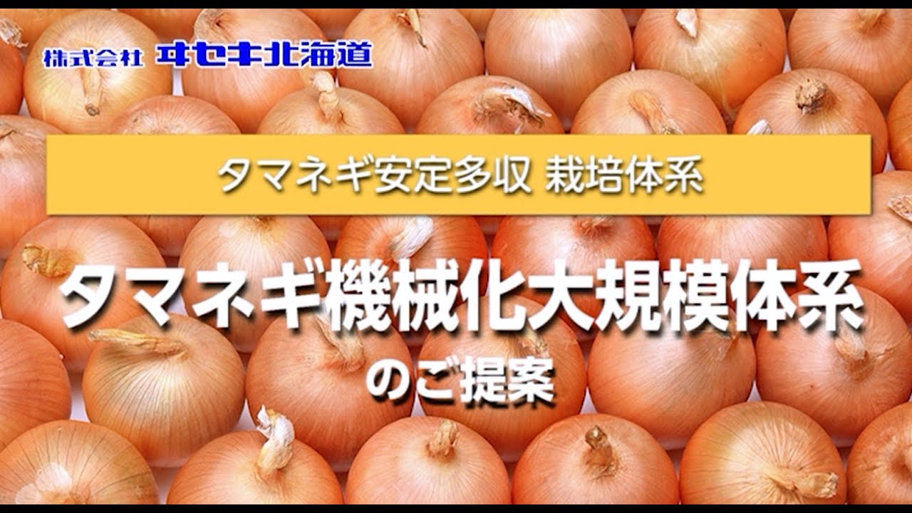 【営農情報】タマネギ機械化大規模体系