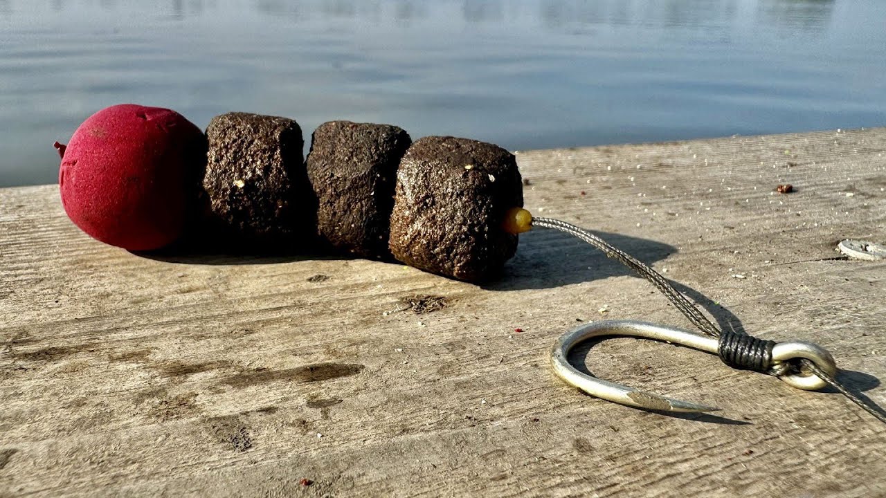 Rybaření s sumcovými halibut peletami na kapry a sumce s Gáborem Döme #rybaření