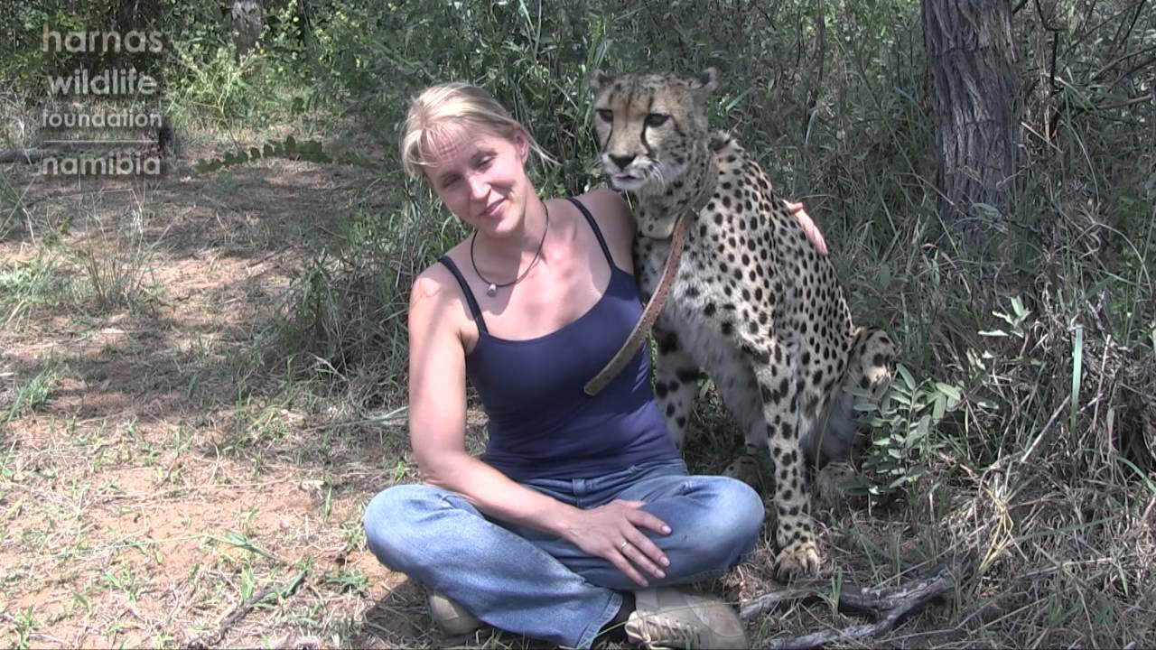 HARNAS GOBABIS | Astrid Behrendt visits Harnas again
