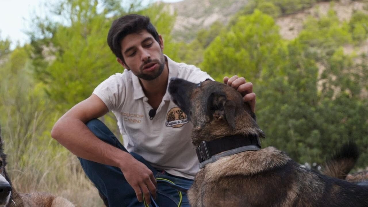🐾 Animalades | Fervor animal | EPISODI COMPLET