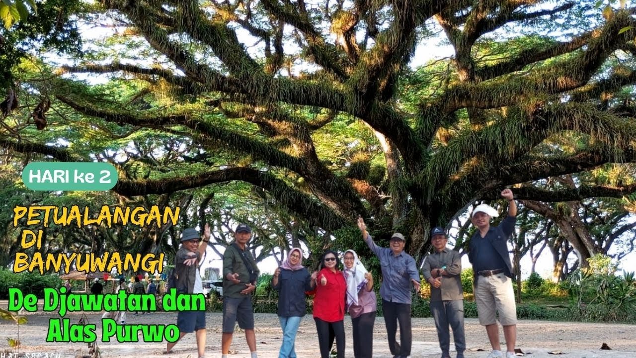 DE DJAWATAN BANYUWANGI, DAN TAMAN NASIONAL ALAS PURWO PETUALANGAN SERU HARI KE DUA.