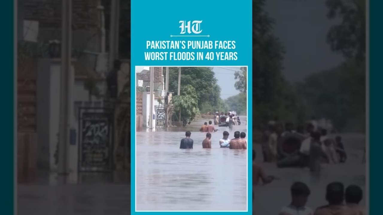 Pakistan Punjab Floods: 1,600 Villages Submerged, Over 1 Million Affected | 