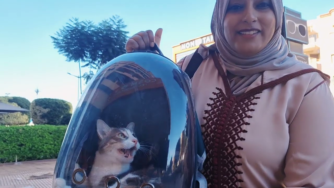 يومياتي 🎀خديت قطيط ديالي درت ليه اللقاح