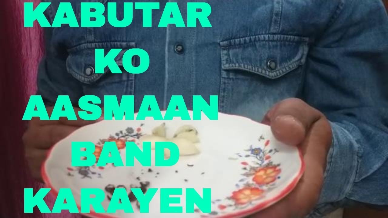 Kabutar Ko Aasmaan Band Karane Ka Asaan Nuskha