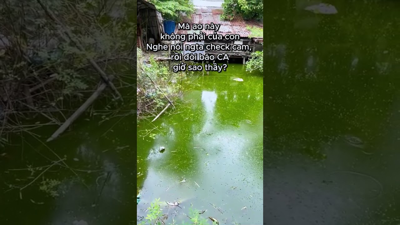 Sao kỳ vậy thầy, con làm đúng lời thầy dặn mà