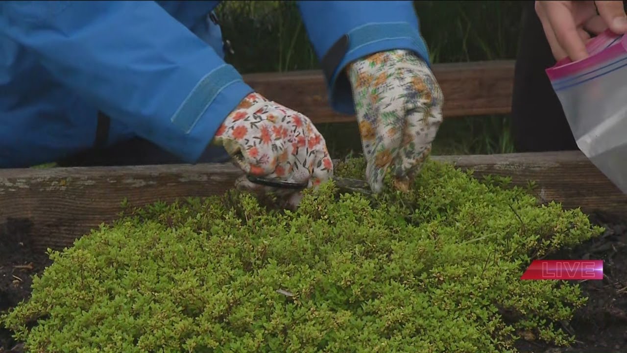 Breaking down mental health stigma