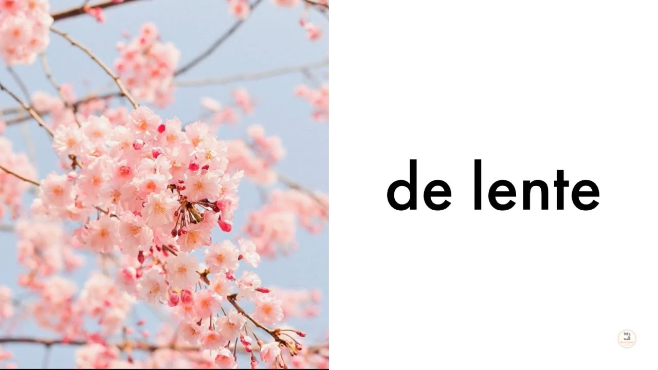 De seizoenen (NT2 Breakthrough, 1.1)