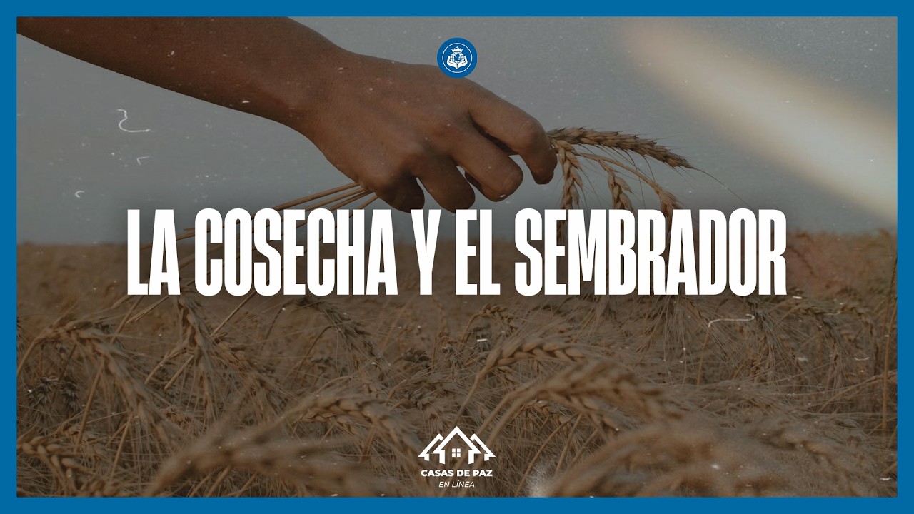Casa de Paz en línea - La cosecha y el sembrador
