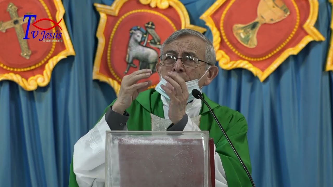 Tema: Semilla del Reino. Padre Hugo Estrada sdb.