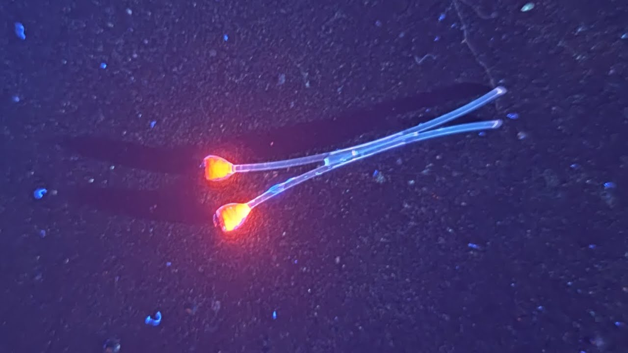 DIY Shrimp Eyes, Garnelenaugen, UV - aktiv