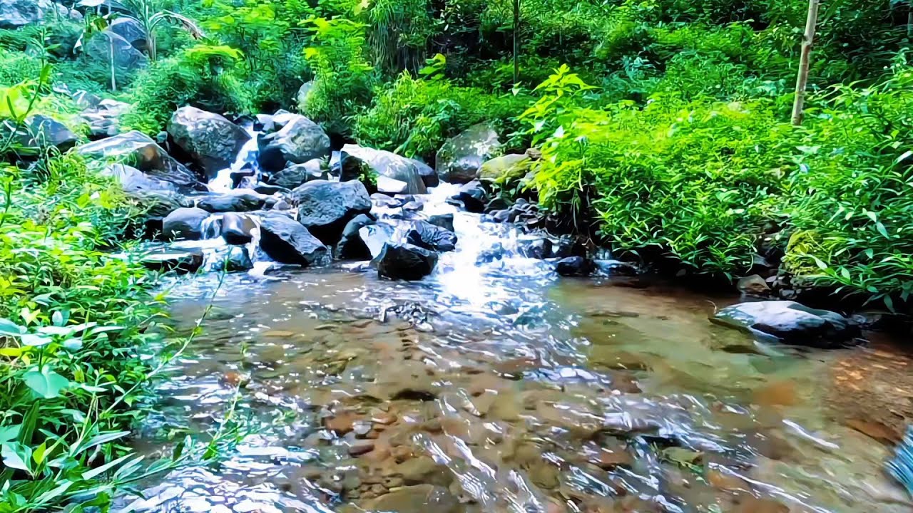River Flow for Nighttime Peace