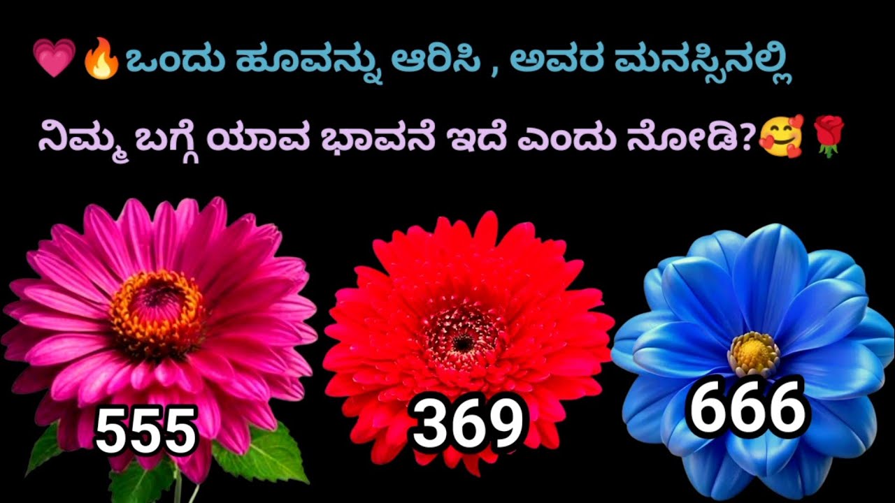 💗🔥  ಒಂದು ಹೂವನ್ನು ಆರಿಸಿ, ನೀವು ಇಷ್ಟಪಡುವವರ ಮನಸ್ಸಿನಲ್ಲಿ ನಿಮ್ಮ ಬಗ್ಗೆ ಯಾವ ಭಾವನೆ ಇದೆ ಎಂದು ನೋಡೋಣ....?🥰🌹