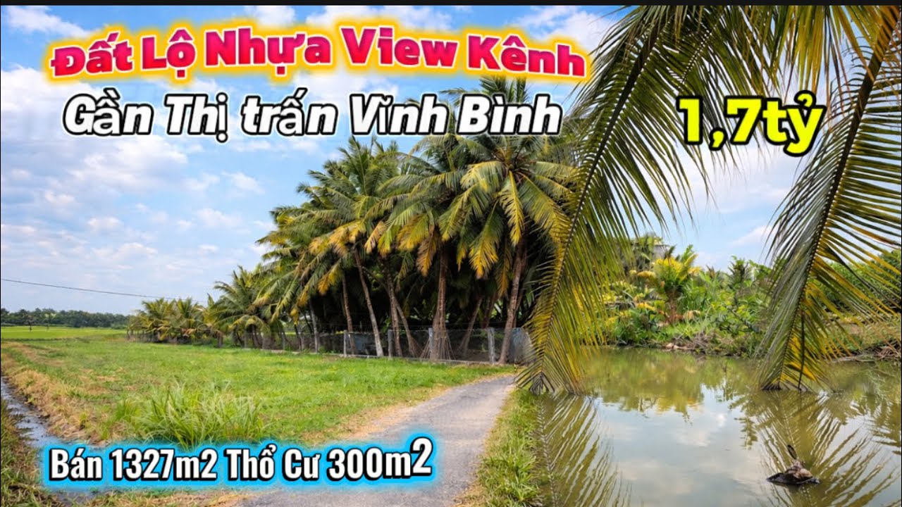 Tập 3604 Bán 1327m2 Đất Lộ Nhựa Gần TT Vĩnh Bình Có 300m2 Thổ Giá 1tỷ7 Có View Kênh Mát Mẻ