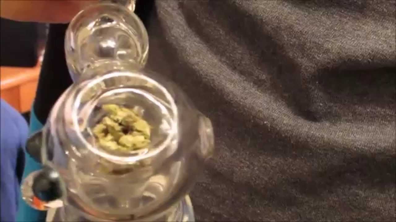 Bubbler Water Pipe Rips   Berry Strain Review   First Smoking Weed Video