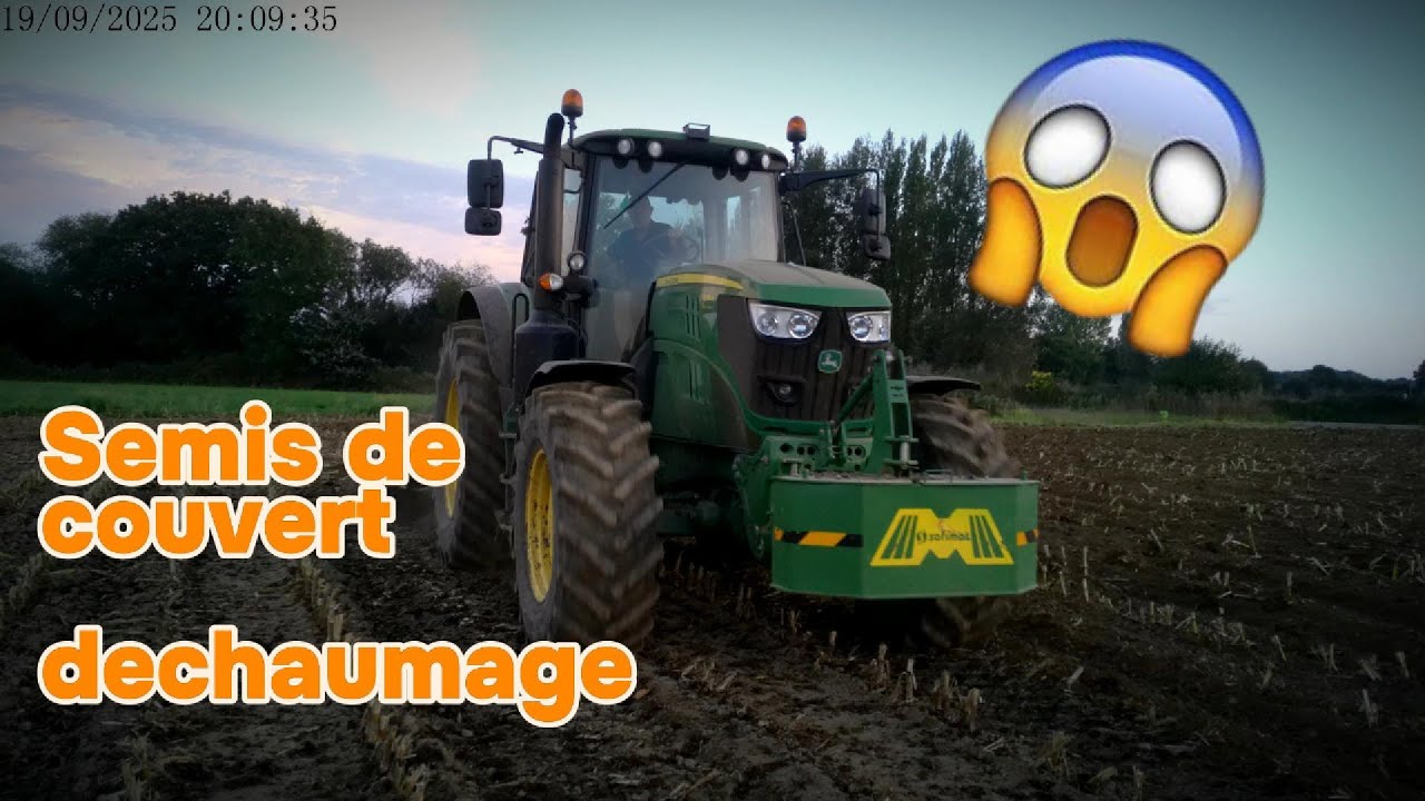 Semis de couvert végétaux et déchaumage