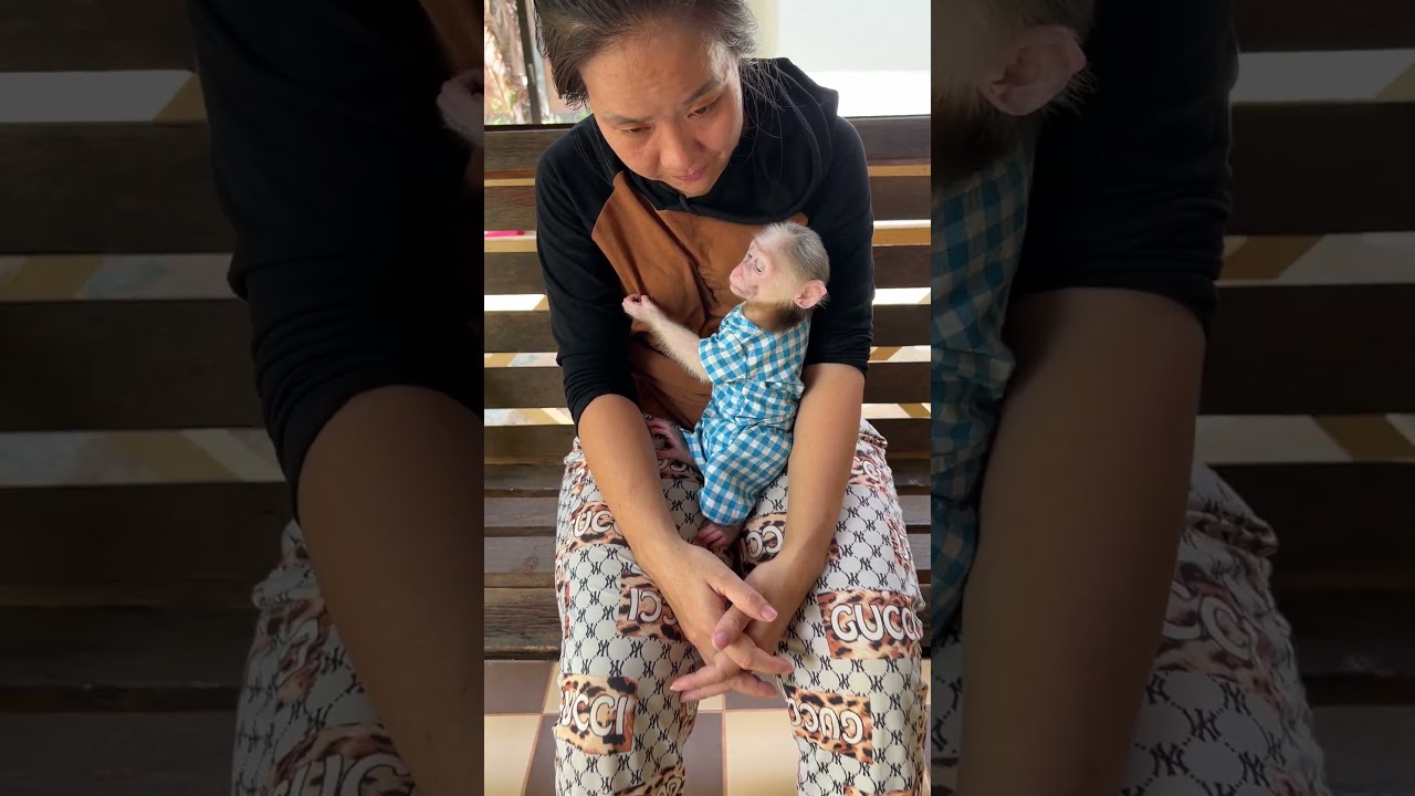 Pavpav hugging mom falling asleep