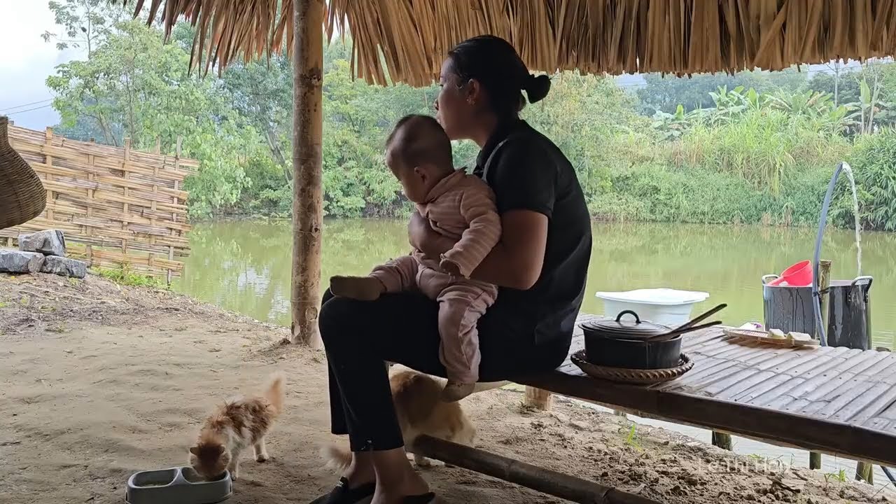 Single mother - Harvesting tangerines, bananas, squash, and papaya with her children to sell.