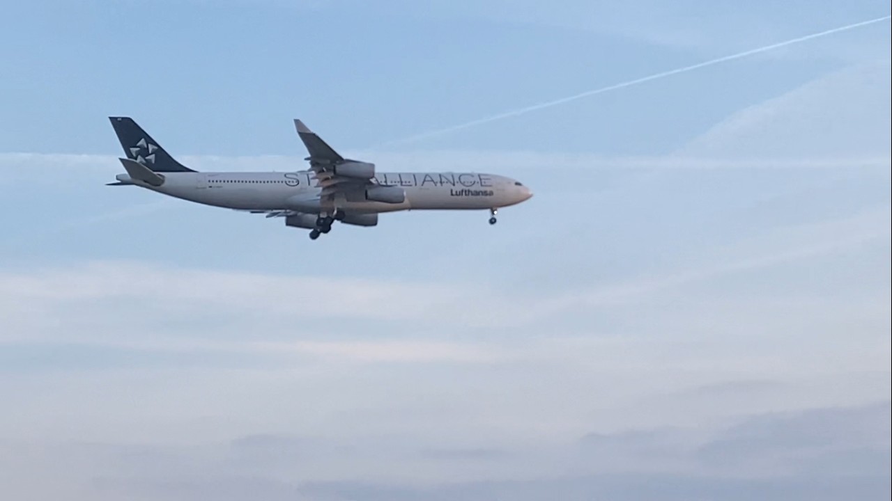 1 HOUR Takeoffs & Landings Frankfurt (FRA/EDDF) Plane Spotting B747s A340s b757s