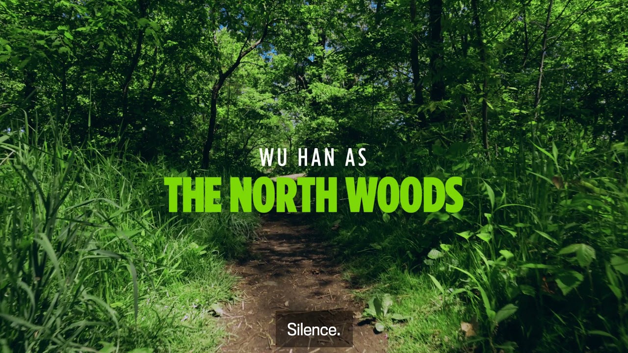 The Park Needs Us: Wu Han as the North Woods (Audio Described)