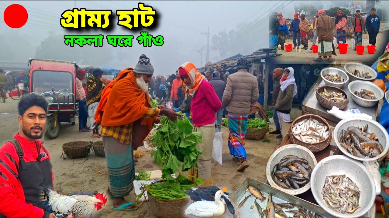 সস্তা পুটিমাছ | দেশি শৈল ও ৫০ টাকায় বেগুন কিনলাম | bangladeshi morning market | winter 