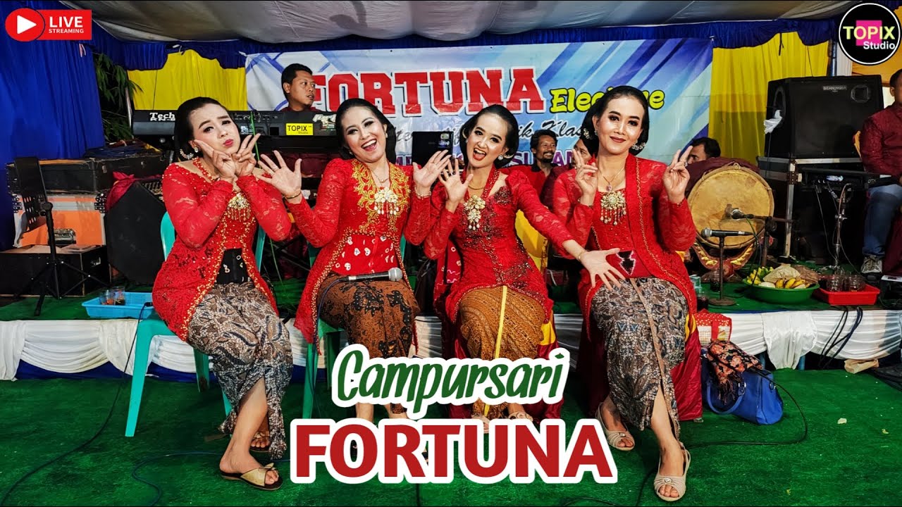 LIVE TOPIX WEDDING ARIATY & HARYOKO l CAMPURSARI FORTUNA MUSIK l RR AUDIO l NGILIRAN PANEKAN MAGETAN