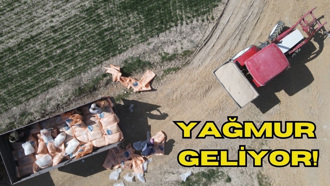 YAĞMUR GELİYOR!!! BUĞDAYLARA ACİL GÜBRE!!! MELDA’NIN İSYANI :)
