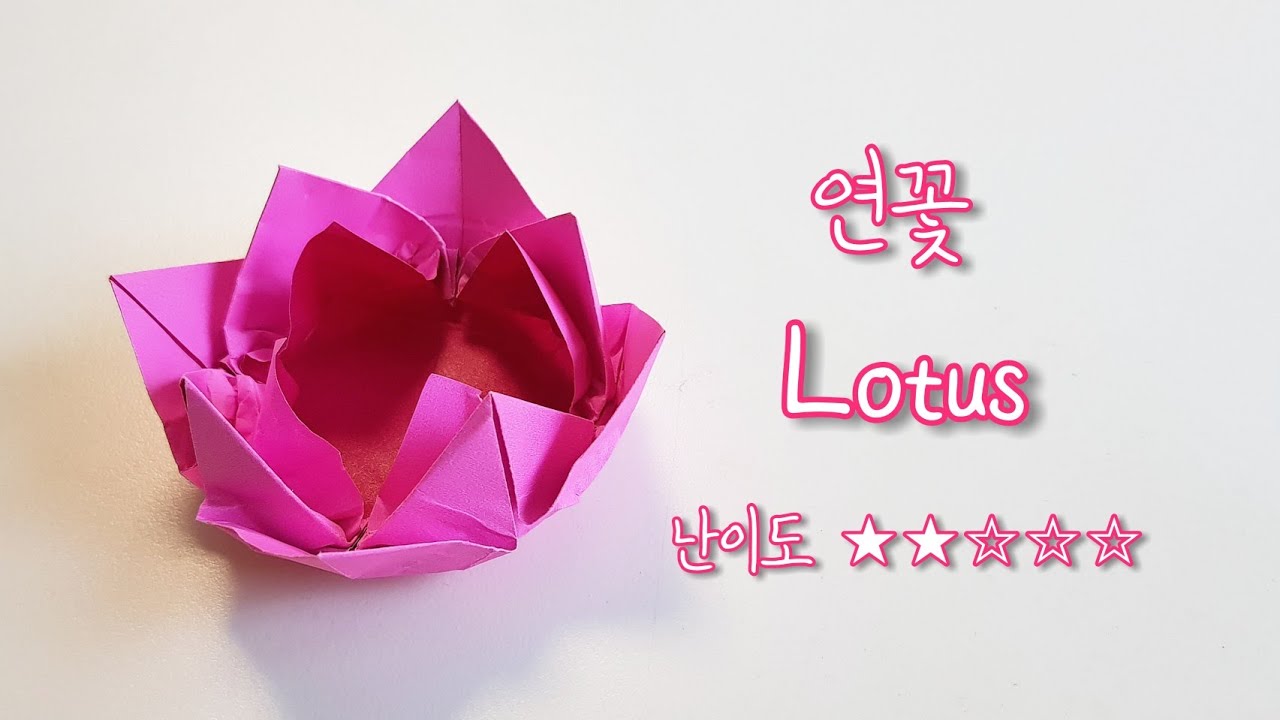 색종이접기 - 연꽃종이접기(연꽃접기,꽃종이접기,꽃접기,석가탄신일,부처님오신날,lotusorigami,diy,折纸,paperfolding,おりがみ,colored,paper)
