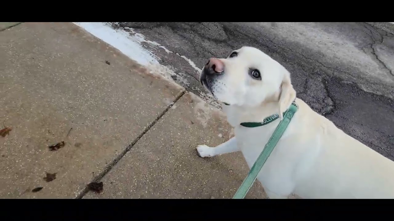 Sam Bush + Tim O'Brien - Icewater - Kent State Folk Festival 2/15/97
