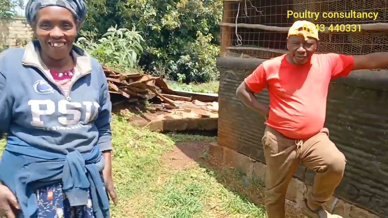 Kiambu Farmer’s Experience: Poultry Housing Mistakes and How to Manage Birds Properly