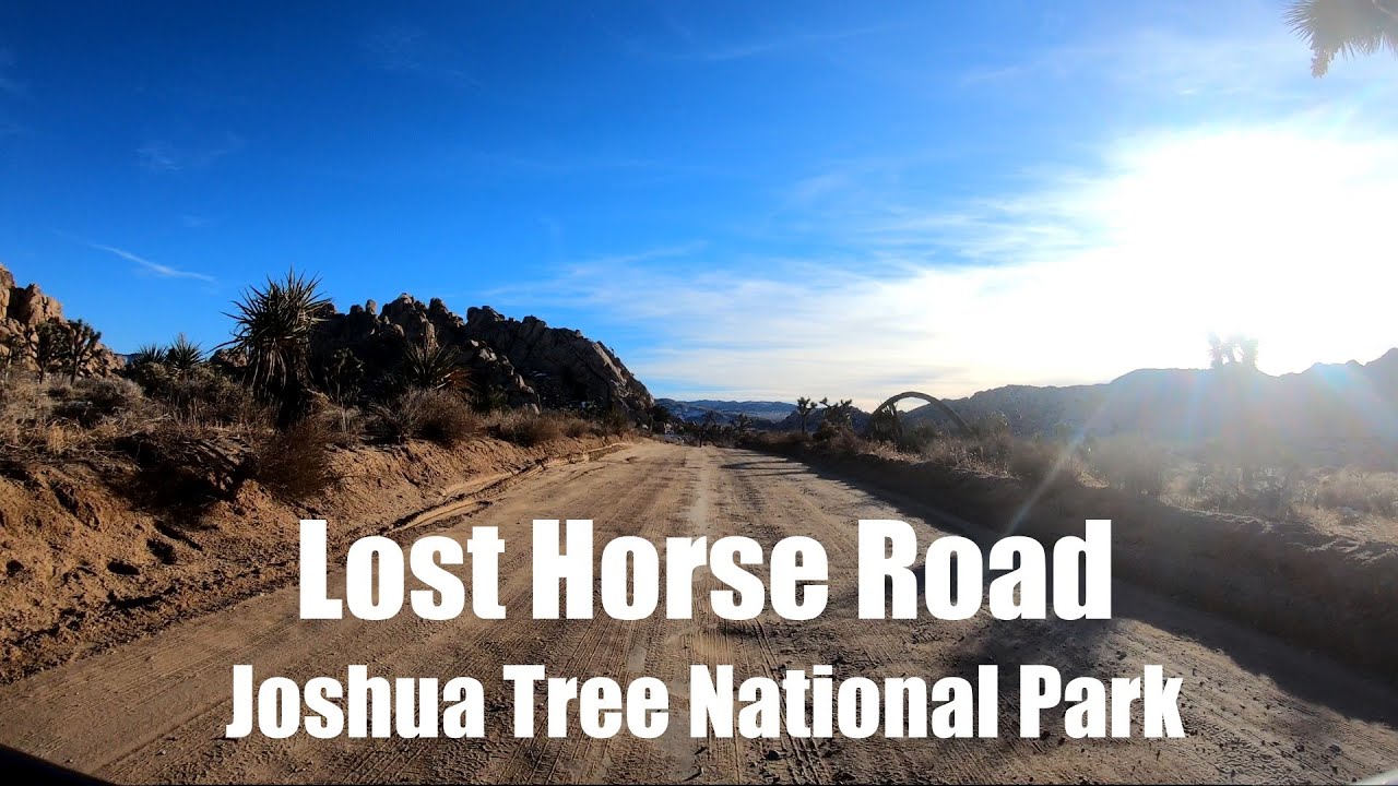 Lost Horse Road - Joshua Tree National Park