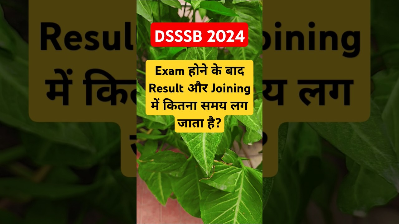 DSSSB EXAM 2024 || DSSSB PGT/TGT/PRT/NON TEACHING || KNOW ABOUT DSSSB || NCERT MANTRA