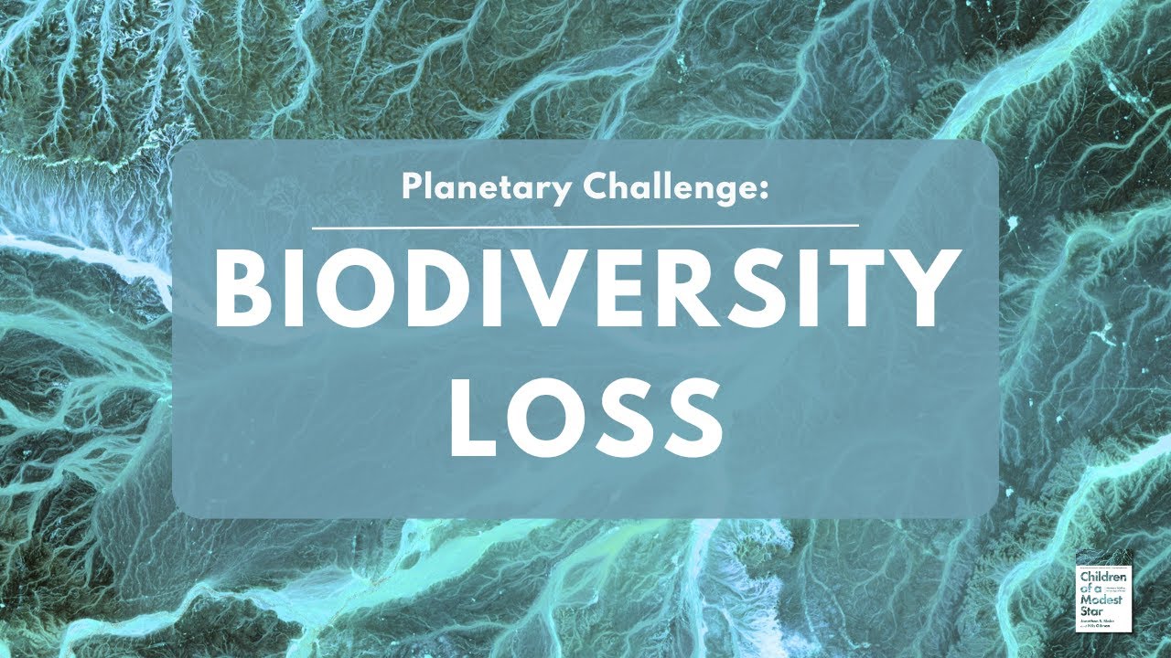 Planetary Challenge: Biodiversity