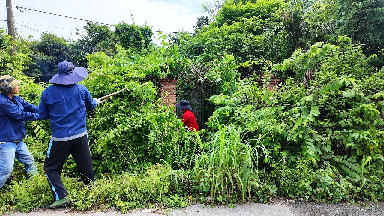 She BOUGHT a 10-YEAR ABANDONED House for $5,000 &mdash; The FINAL RESULT SHOCKED Everyone