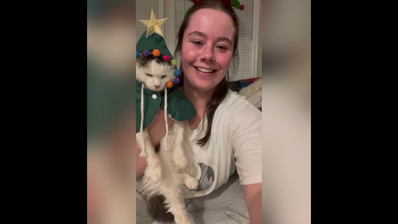 Dressing up Pot Roast and singing you a Christmas song