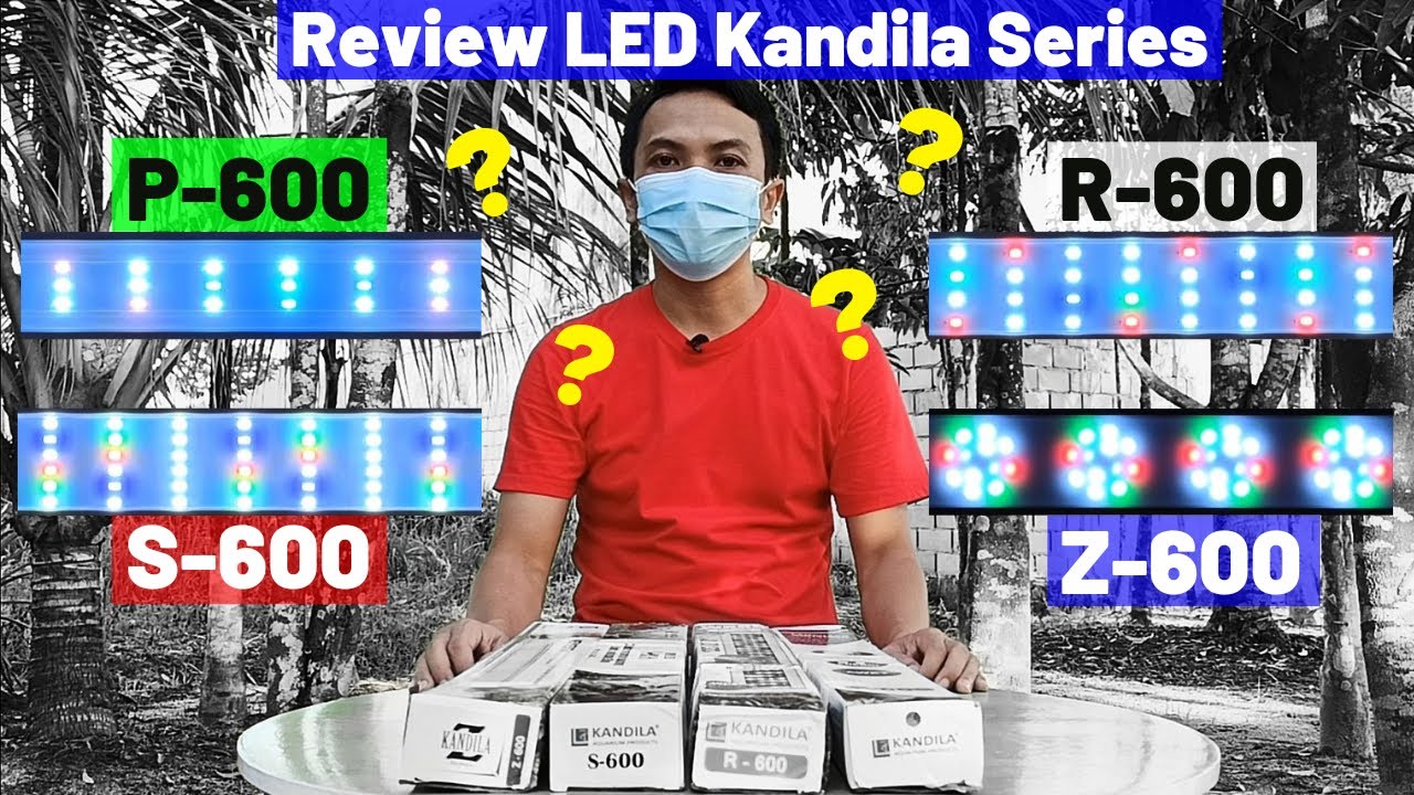 Review Lampu Led Kandila Series P-600 vs R-600 vs S-600 vs Z-600