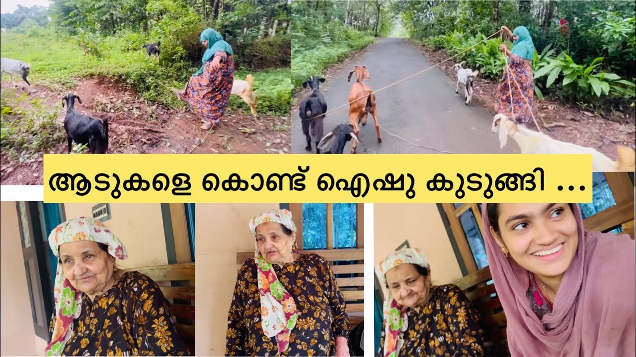 വല്ലിമ്മ വീണ്ടും കളിക്കളത്തിൽ ....തെറ്റിപോയവർ തിരിച്ചു വന്നു ...