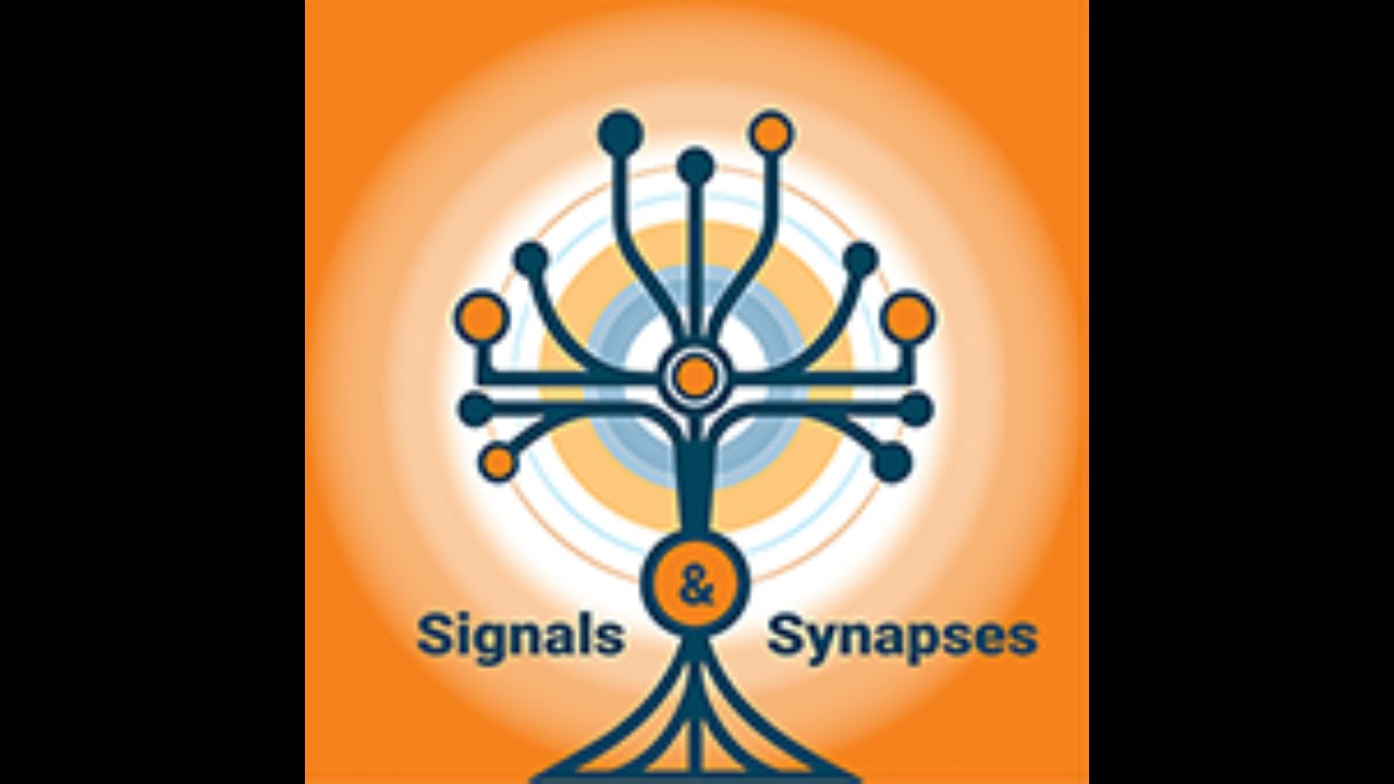Illuminating the Zebrafish Mind