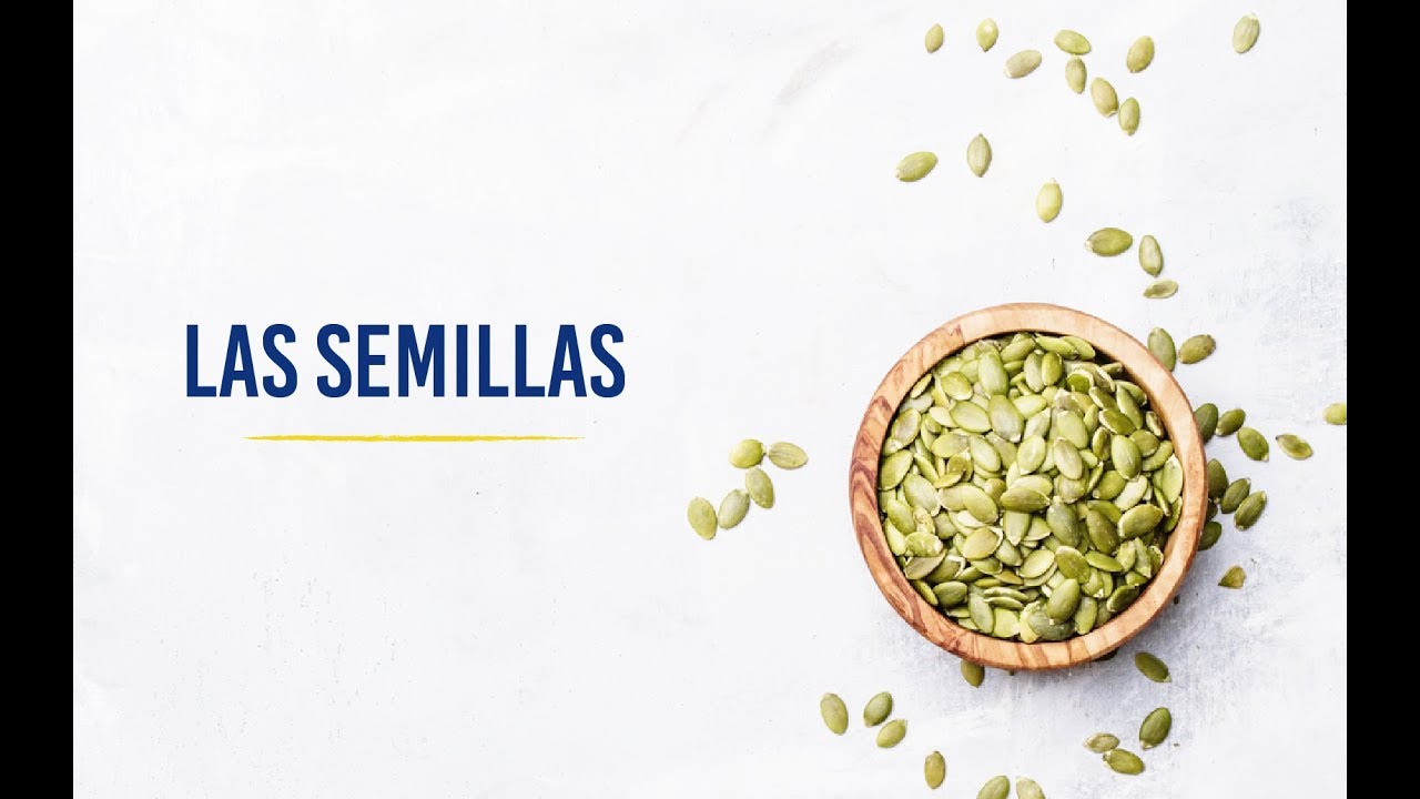 Las semillas y sus beneficios en la salud