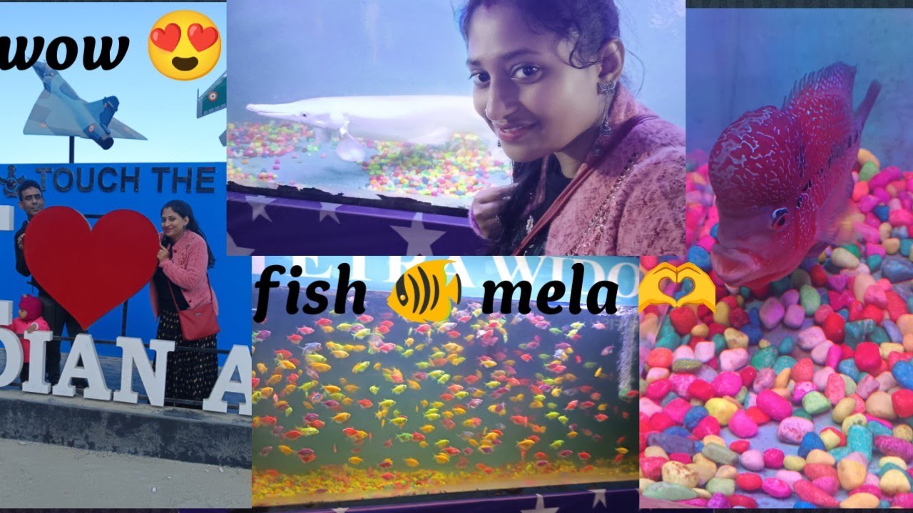 Dimapur fish 🐠 Mela (Assam)#vlog #video #please #comment #like #youtube 😍