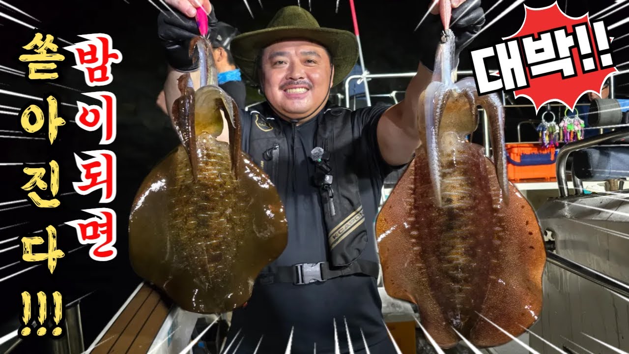 밤 되면 난리! 한번 맛 보면 빠져 나올 수 없는 최고의 무늬오징어 맛!