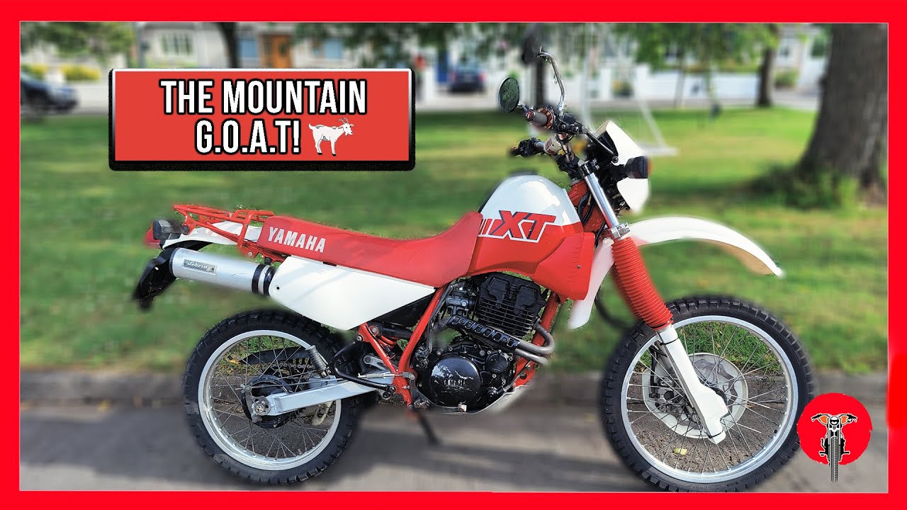 1988 YAMAHA XT350 - THE MOUNTAIN G.O.A.T! 🐐 - Ride & Review!