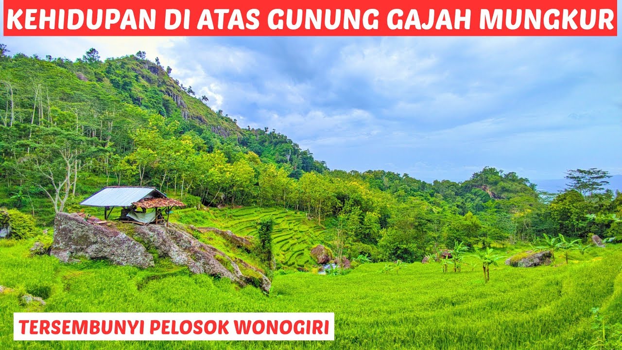 Saat Hujan di Desa Tersembunyi | Di Balik Perbukitan Wonogiri ‼️Gunung Gajah Mungkur Damai Tenteram