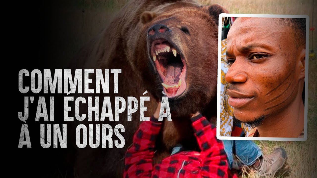 Les pires choses à faire lors d'une attaque d'ours