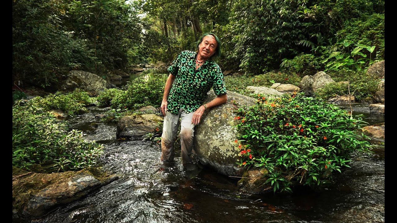 FIELD TRIP WITH PATRICK BLANC IN INDIA - WESTERN GHATS - MUNNAR TO KOCHI BACKWATERS