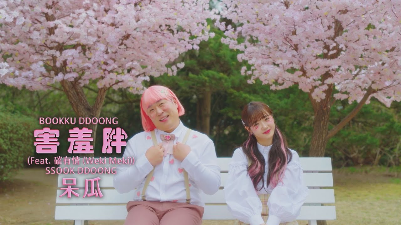 害羞胖 BOOKKU DDOONG  - 呆瓜 SSOOK DDOONG (feat. 磪有情 of Weki Meki) (華納官方中字版)