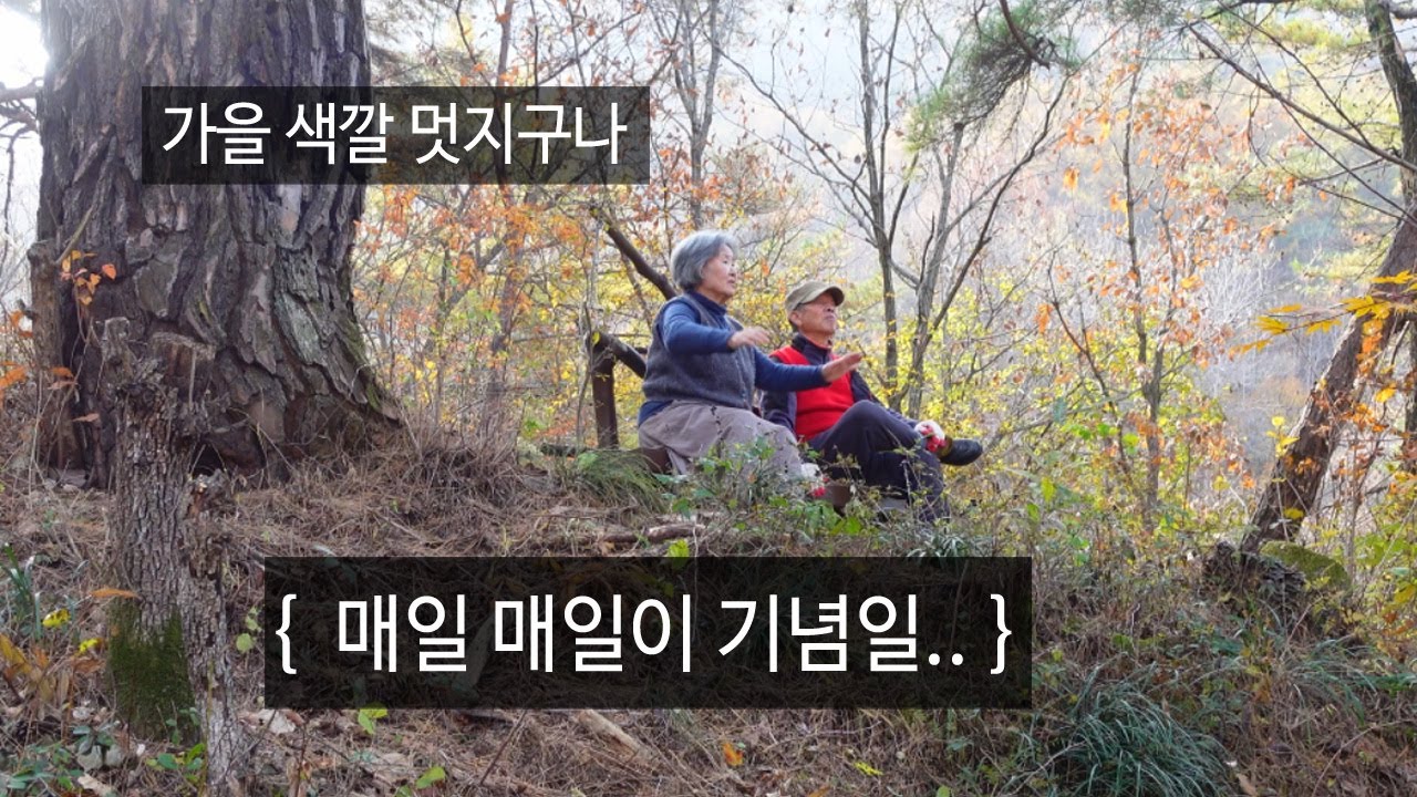 오늘은 25년도 가을 기념일입니다｜EP.103