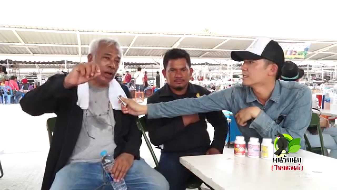 นกกรงหัวจุก ป่าละอู ตากแดด สิงขร สวนผึ้ง น้ำเย็น ช่องชี & ศึกจ้าวเสียงทองเมืองนครฯ ครั้งที่2