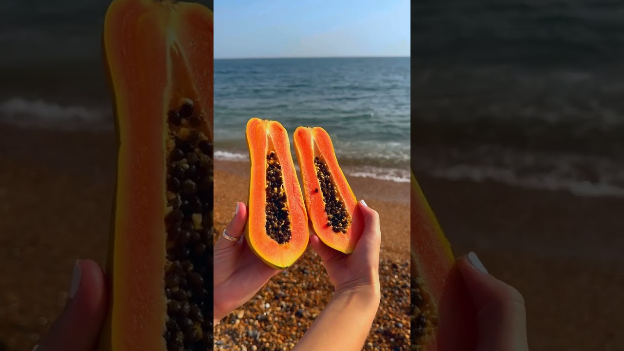 Would you take this to the beach?